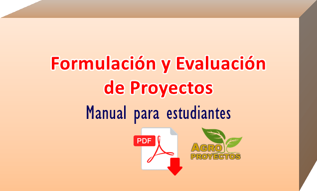 formulacion y evaluacion de proyectos