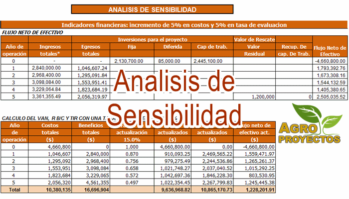 Analisis de Sensibilidad en Excel