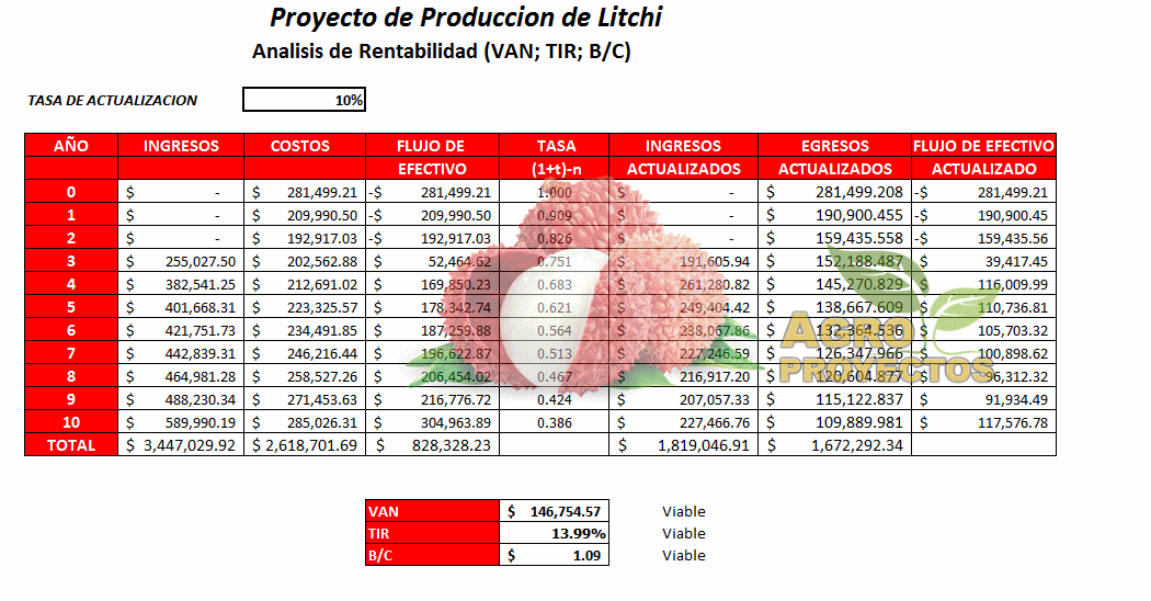 Analisis Financiero Proyecto de Litchi