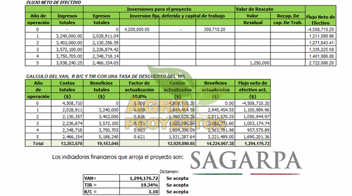 Analisis financieros SAGARPA