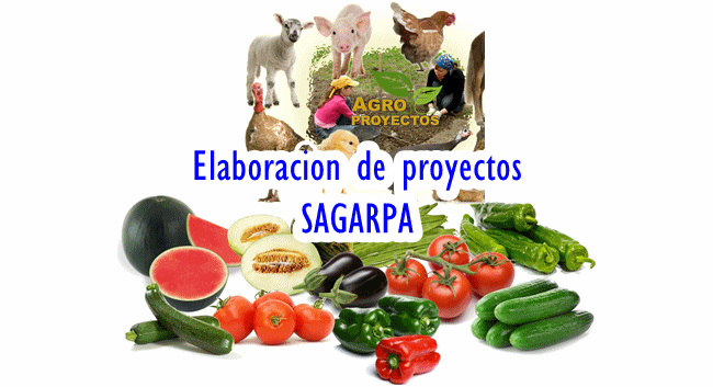 Elaboración de proyectos SAGARPA