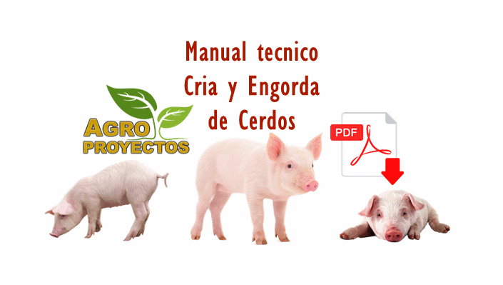 Manual de produccion de cerdos