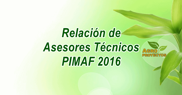Asesores tecnicos PIMAF 2016