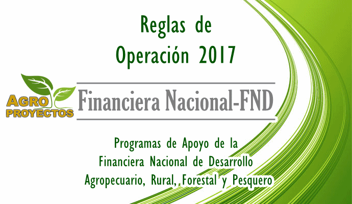 Reglas Financiera Nacional 2017