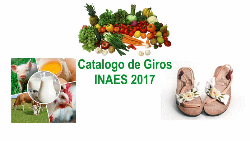 Catalogo de giros INAES 2017