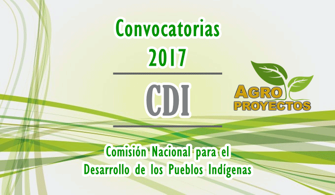 Convocatorias CDI 2017