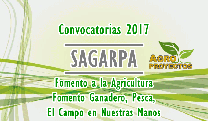 Convocatorias SAGARPA 2017