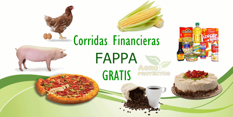 Proyectos productivos FAPPA