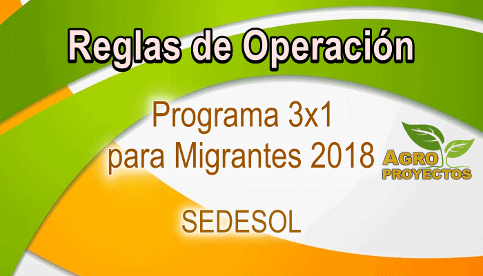 Reglas de programa 3x1 para migrantes 2018