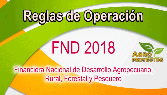 Reglas de Operacion FND 2018