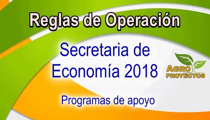 Reglas de Operacion de Secretaria de Economia 2018