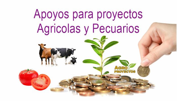 Apoyos para proyectos de agricultura y ganaderia