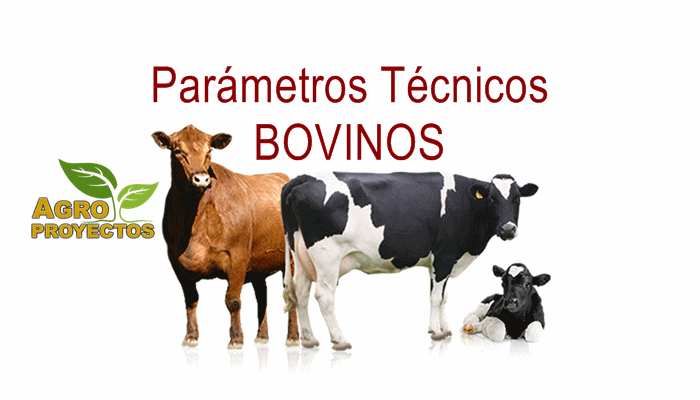 parametros tecnicos y reproductivos de bovinos