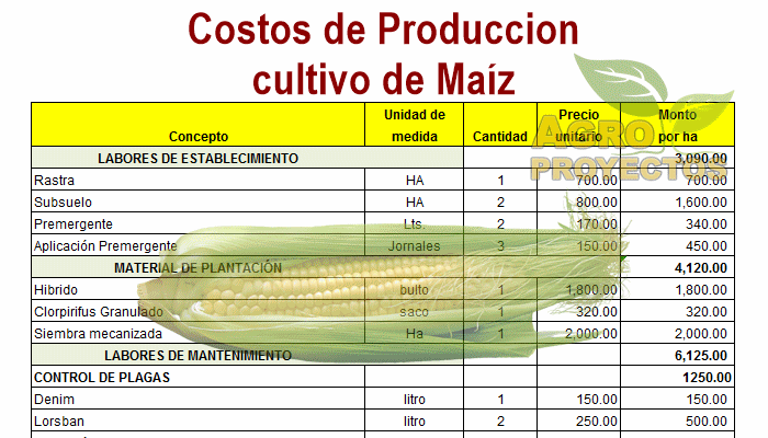 Costos de produccion de maiz