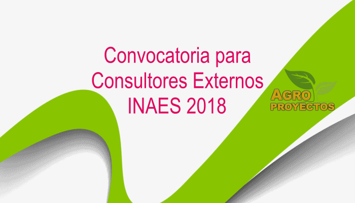 Convocatoria Consultores Externos INAES 2018
