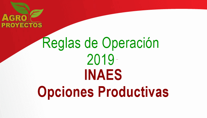 Reglas de Operacion INAES 2019