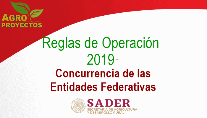 Reglas Concurrencia SADER 2019