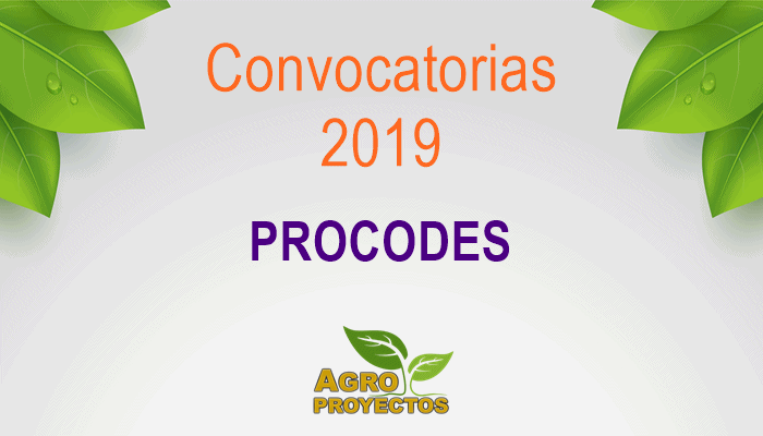 Convocatoria PROCODES 2019