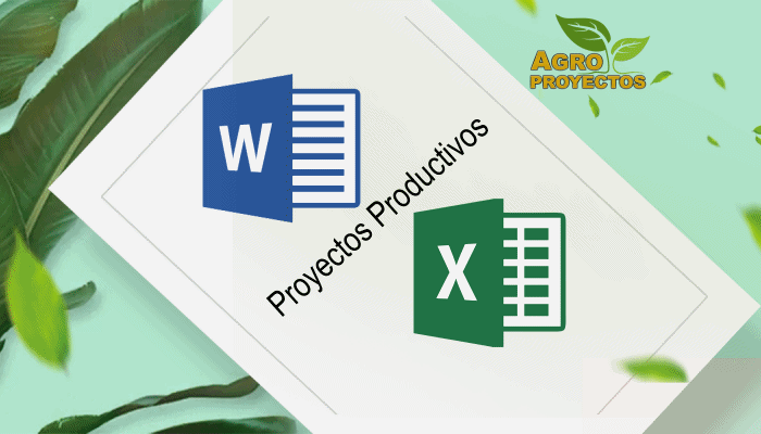 Evaluacion de proyectos productivos