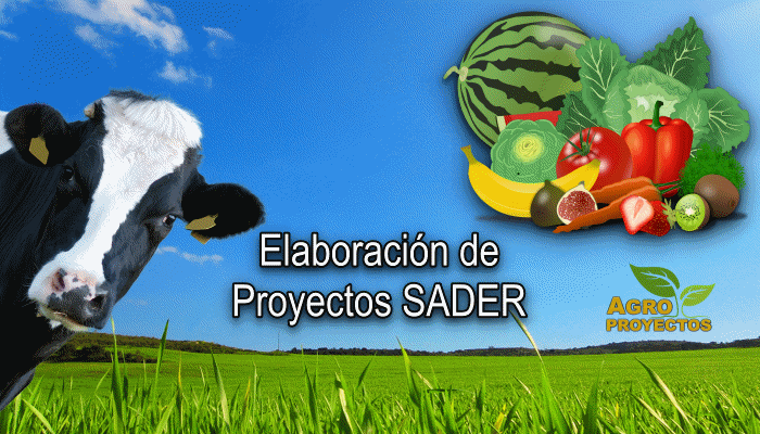 Elaboración de proyectos SADER 2019