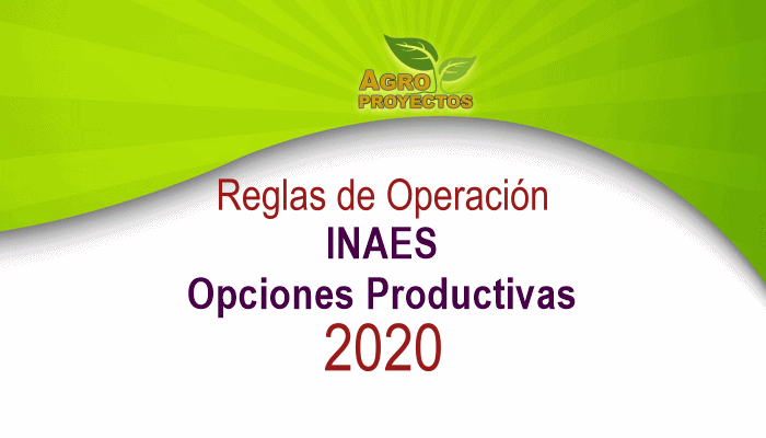 Reglas INAES y Opciones productivas 2020