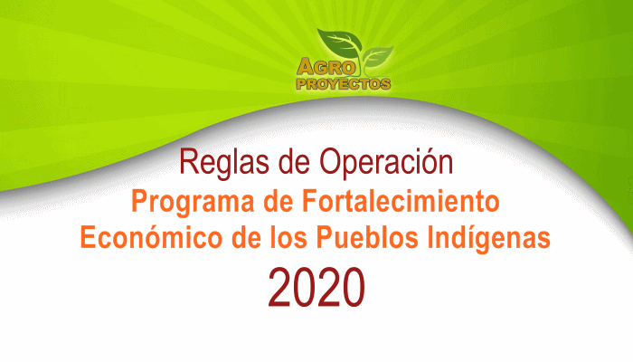 Reglas de Operacion Pueblos Indígenas INPI 2020 pdf