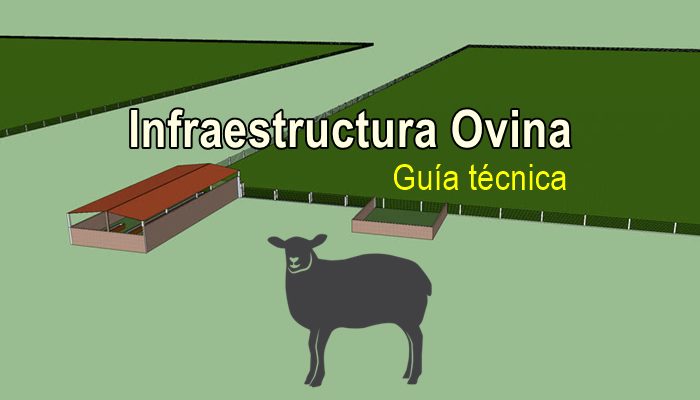 Diseño de infraestructura ovina