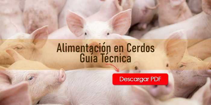 Alimentación En Cerdos Guía Técnica Agroproyectos 9148