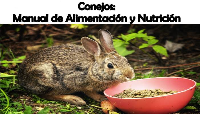 Conejos: Alimentación Y Nutrición - Agroproyectos