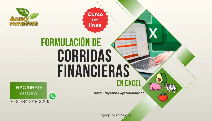 Formulación de Corridas Financieras en Excel, curso en línea